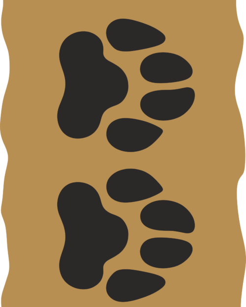 Paw Power